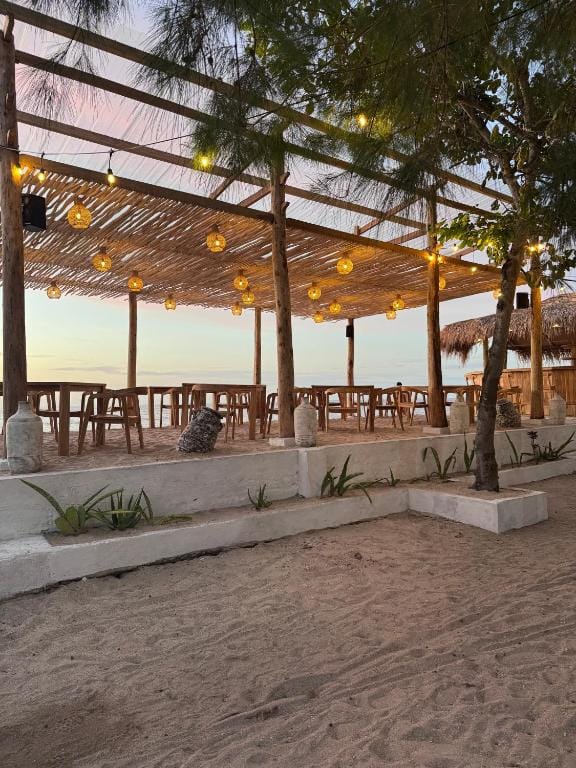 Jungle Gili Air — 1