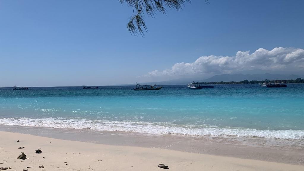 Gili Davidoff Skyline — 5