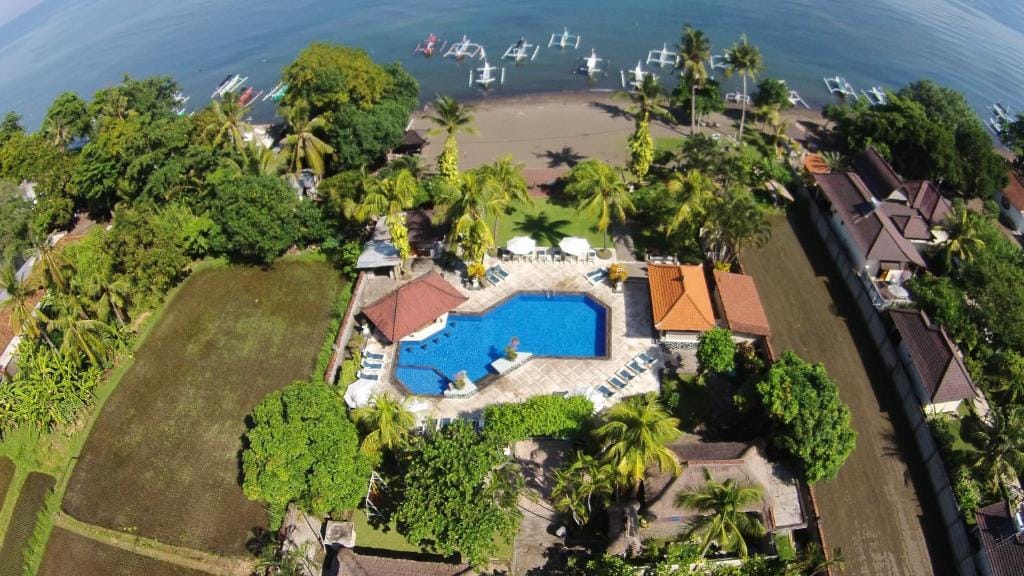 Aneka Lovina Villas & Spa — 4