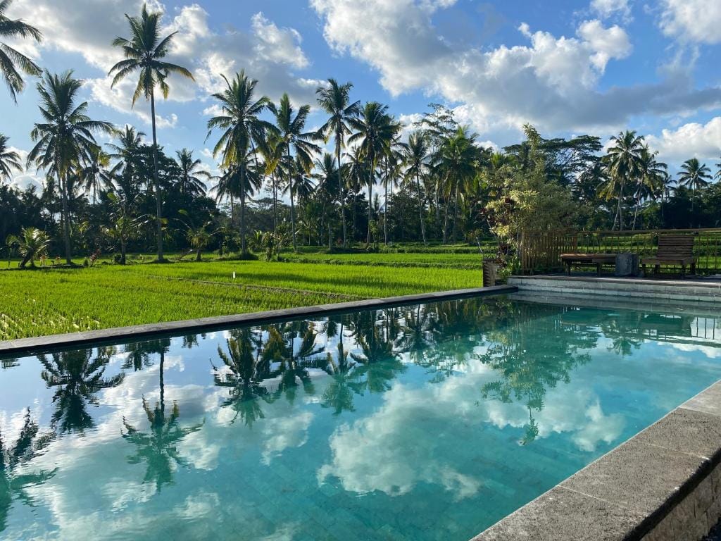 Hening suites Ubud — 4