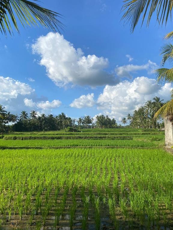 Hening suites Ubud — 5