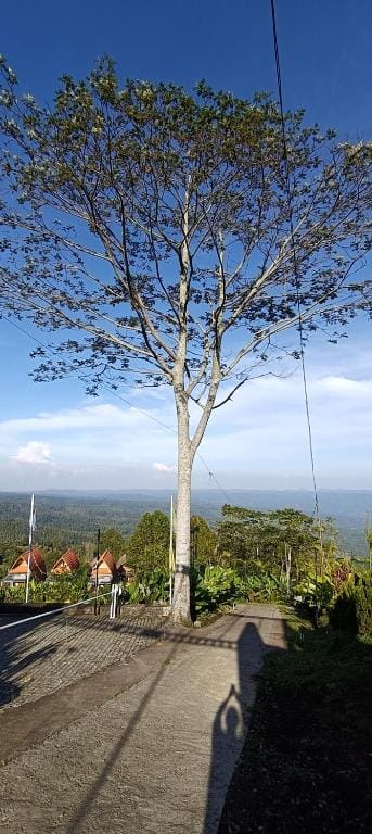 Camaradvipa Retreat Munduk — 5