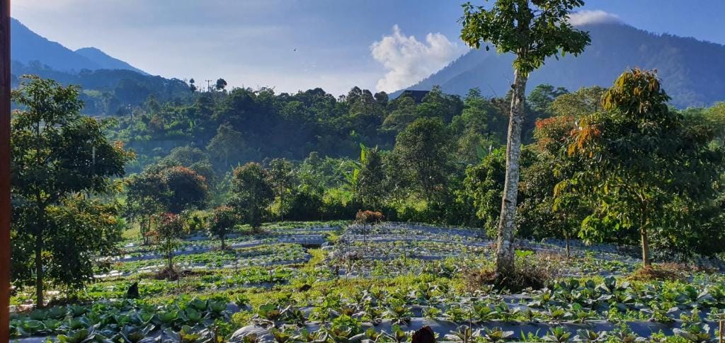 Manigelang Villa — 3
