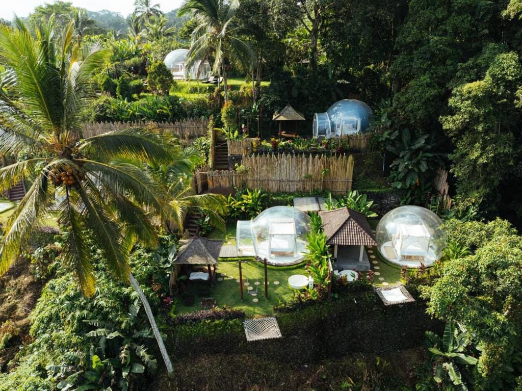 Bubble 8 - Private Pool Jungle Escape Ubud — 5