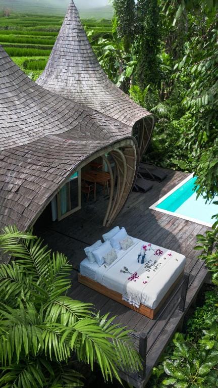 Jungleight Bali — 1