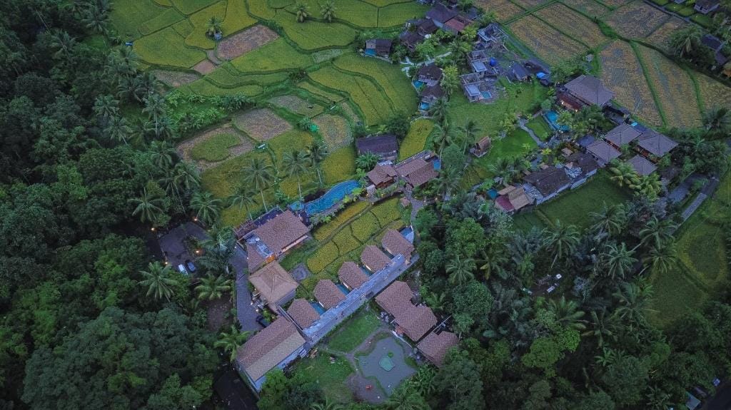 Lawani Resort — 2