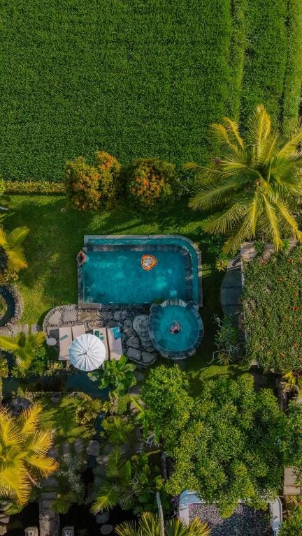 The Alugara Suite & Spa — 1