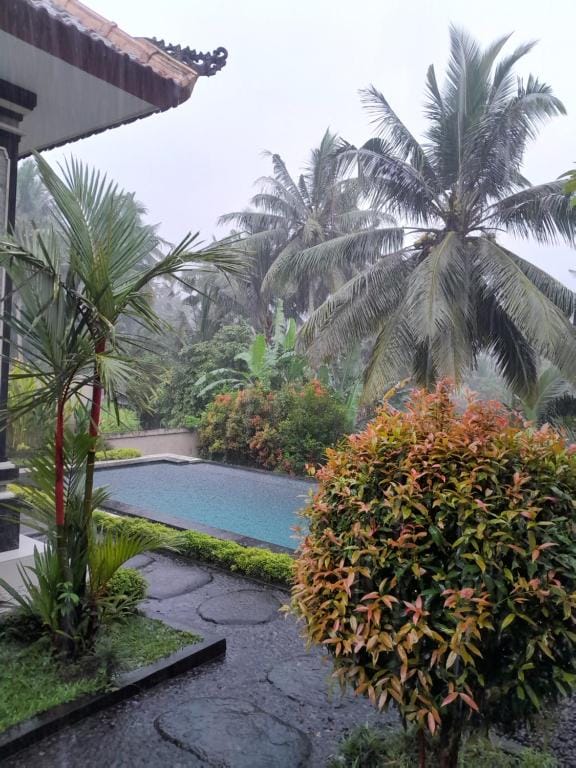 Ubud nadi villa — 1