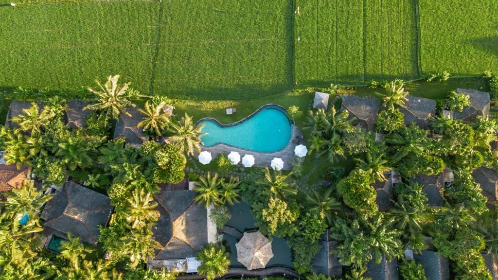 Arya Villas Ubud — 1